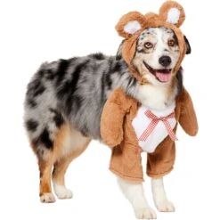 Frisco Front Walking Teddy Bear Dog & Cat Costume -Dog - Cat Shop 215507 PT3. AC SS1800 V1624402415