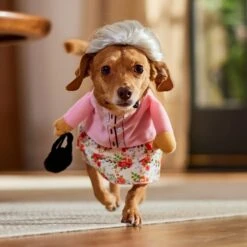 Frisco Front Walking Granny Dog & Cat Costume -Dog - Cat Shop 215577 PT8. AC SS1800 V1689621333