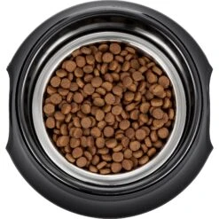 Frisco Stainless Steel Bowl With Elevated Stand -Dog - Cat Shop 216020 PT4. AC SS1800 V1591020427