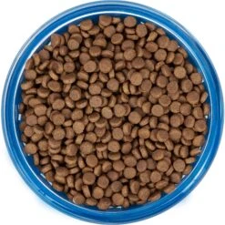 Frisco Chevron Design Glass Bowl With Silicone Sleeve -Dog - Cat Shop 216049 PT4. AC SS1800 V1591020735