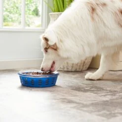 Frisco Chevron Design Glass Bowl With Silicone Sleeve -Dog - Cat Shop 216049 PT7. AC SS1800 V1605664319