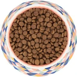 Frisco Colorful Geometric Melamine Bowl -Dog - Cat Shop 216054 PT4. AC SS1800 V1591020757