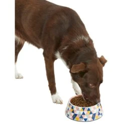 Frisco Colorful Geometric Melamine Bowl -Dog - Cat Shop 216054 PT6. AC SS1800 V1605658026