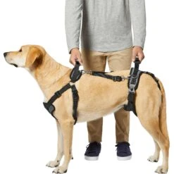 Frisco Front & Rear Lift Handicapped Support Dog Harness -Dog - Cat Shop 220372 PT5. AC SS1800 V1605749597