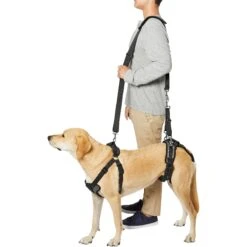 Frisco Front & Rear Lift Handicapped Support Dog Harness -Dog - Cat Shop 220372 PT6. AC SS1800 V1605758261