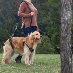 Frisco Front & Rear Lift Handicapped Support Dog Harness -Dog - Cat Shop 220372 PT7. AC SS1800 V1605738439