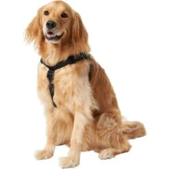 Frisco Nylon Step In Back Clip Dog Harness -Dog - Cat Shop 220519 PT2. AC SS1800 V1605591714