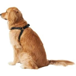 Frisco Nylon Step In Back Clip Dog Harness -Dog - Cat Shop 220519 PT3. AC SS1800 V1605593555