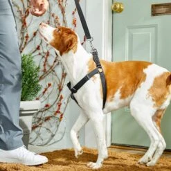 Frisco Nylon Step In Back Clip Dog Harness -Dog - Cat Shop 220519 PT4. AC SS1800 V1605582116