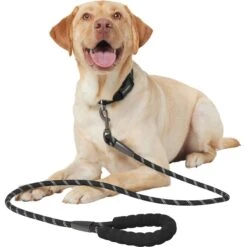Frisco Rope Dog Leash With Padded Handle -Dog - Cat Shop 221218 PT3. AC SS1800 V1701796765