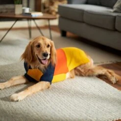 Frisco Colorblock Dog & Cat Turtleneck Sweater With Sleeves -Dog - Cat Shop 223819 PT7. AC SS1800 V1599922008