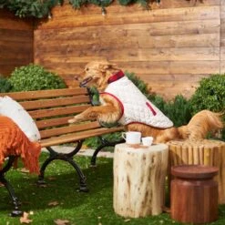 Frisco Quilted Water-Resistant Reversible Insulated Dog & Cat Jacket -Dog - Cat Shop 223922 PT7. AC SS1800 V1601579158