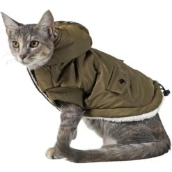 Frisco Mid-Heavyweight Love Insulated Dog & Cat Coat -Dog - Cat Shop 224034 PT2. AC SS1800 V1599498998