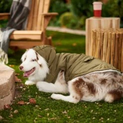 Frisco Mid-Heavyweight Love Insulated Dog & Cat Coat -Dog - Cat Shop 224034 PT7. AC SS1800 V1601578266