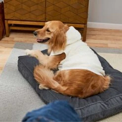 Frisco Plush Fur Dog & Cat Hoodie -Dog - Cat Shop 224209 PT7. AC SS1800 V1637685435