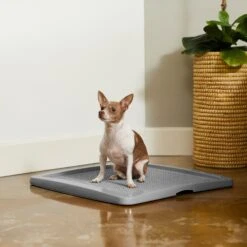 Frisco Training Pad Holder -Dog - Cat Shop 227474 PT6. AC SS1800 V1604701643
