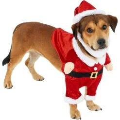 Frisco Front Walking Santa Dog & Cat Costume, 1 Count -Dog - Cat Shop 228785 PT3. AC SS1800 V1631300866
