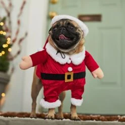Frisco Front Walking Santa Dog & Cat Costume, 1 Count -Dog - Cat Shop 228785 PT7. AC SS1800 V1601560869