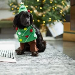 Frisco Front Walking Christmas Tree Dog & Cat Costume -Dog - Cat Shop 229164 PT7. AC SS1800 V1601385981