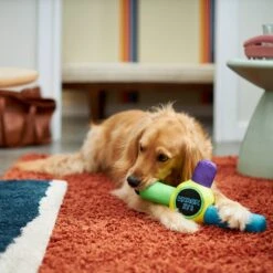 Frisco Retro Whack It! Ballistic Nylon Plush Squeaky Dog Toy -Dog - Cat Shop 230302 PT3. AC SS1800 V1601947283