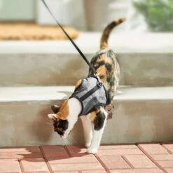 Frisco Wrap Cat Harness -Dog - Cat Shop 230691 PT5. AC SS1800 V1601096758