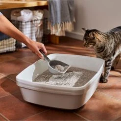 Frisco Lightweight Scented Clumping Cat Litter -Dog - Cat Shop 230718 PT4. AC SS1800 V1659023572