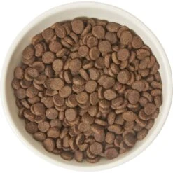 Frisco Double-Sided Ceramic Elevated Cat Bowl -Dog - Cat Shop 232081 PT3. AC SS1800 V1605145964