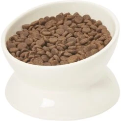 Frisco Double-Sided Ceramic Elevated Cat Bowl -Dog - Cat Shop 232081 PT6. AC SS1800 V1684760471