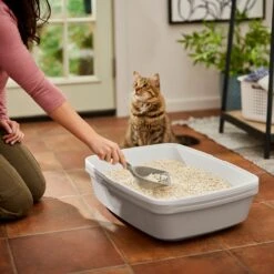 Frisco Tofu Clumping Cat Litter -Dog - Cat Shop 232117 PT4. AC SS1800 V1659546420