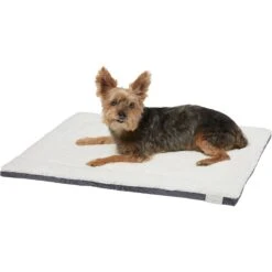 Frisco Self Warming Pillow Rectangular Pet Bed -Dog - Cat Shop 232177 PT2. AC SS1800 V1600351596