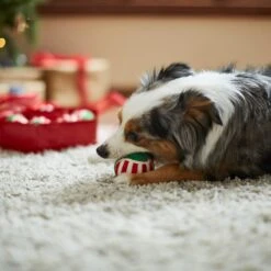 Frisco Holiday Wreath Fetch Squeaky Tennis Ball Dog Toy -Dog - Cat Shop 233189 PT3. AC SS1800 V1665759769