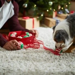 Frisco Holiday Wreath Fetch Squeaky Tennis Ball Dog Toy -Dog - Cat Shop 233189 PT5. AC SS1800 V1601919657