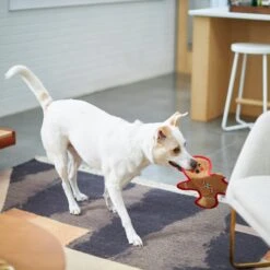 Frisco Holiday Gingerbread Man Flat Plush Squeaky Dog Toy -Dog - Cat Shop 233241 PT2. AC SS1800 V1601311903