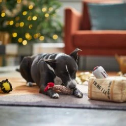 Frisco Holiday Fragile Box Hide & Seek Puzzle Plush Squeaky Dog Toy -Dog - Cat Shop 233274 PT4. AC SS1800 V1665759767