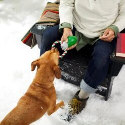 Frisco Holiday Christmas Light Rope With TPR Squeaky Dog Toy -Dog - Cat Shop 233278 PT2. AC SS1800 V1601641574