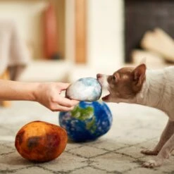 Frisco Earth, Mars, And Moon Plush Squeaky Dog Toy -Dog - Cat Shop 233587 PT3. AC SS1800 V1600973771