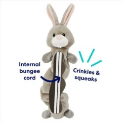 Frisco Bunny Bungee Plush Squeaky Dog Toy 8 Frisco Bunny Bungee Plush Squeaky Dog Toy -Dog - Cat Shop 233612 PT2. AC SS1800 V1691784247