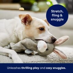 Frisco Bunny Bungee Plush Squeaky Dog Toy 10 Frisco Bunny Bungee Plush Squeaky Dog Toy -Dog - Cat Shop 233612 PT5. AC SS1800 V1691783971