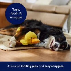 Frisco Duck Plush Squeaky Dog Toy -Dog - Cat Shop 233613 PT4. AC SS1800 V1695670688