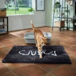 Frisco Microfiber Chenille Fish Bone Litter Mat -Dog - Cat Shop 236242 PT3. AC SS1800 V1676556249