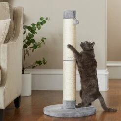 Dog - Cat Shop 46 Frisco 35-in Heavy Duty Sisal Cat Scratching Post With Toy