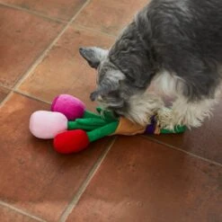 Frisco Valentine Rose Bouquet Plush Squeaky Dog Toy -Dog - Cat Shop 241733 PT6. AC SS1800 V1607990908