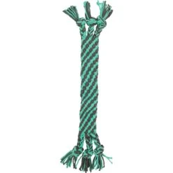 Frisco Flat Teal & Gray Braided Rope Squeaky Fetch Dog Toy