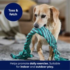 Frisco Flat Teal & Gray Braided Rope Squeaky Fetch Dog Toy -Dog - Cat Shop 242127 PT3. AC SS1800 V1695242179
