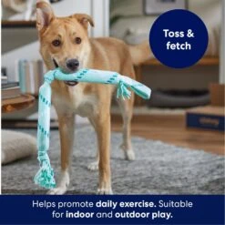 Frisco Double Fun Rope Crinkle Fetch Dog Toy 8 Frisco Double Fun Rope Crinkle Fetch Dog Toy -Dog - Cat Shop 242137 PT3. AC SS1800 V1695242178