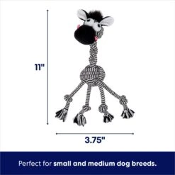 New Release -Dog - Cat Shop 242163 PT1. AC SS1800 V1695084258