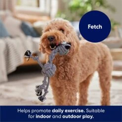 Frisco Zebra Rope Squeaky Dog Toy -Dog - Cat Shop 242163 PT3. AC SS1800 V1691785245