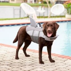 Frisco Shark Dog Life Jacket -Dog - Cat Shop 247887 PT7. AC SS1800 V1616505777