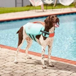 Frisco Active Dog Life Jacket -Dog - Cat Shop 247894 PT7. AC SS1800 V1616506092