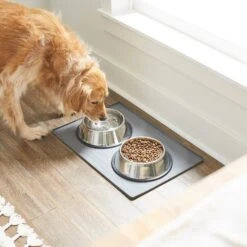 Frisco Silicone Dog & Cat Food Mat -Dog - Cat Shop 253040 PT2. AC SS1800 V1616522564